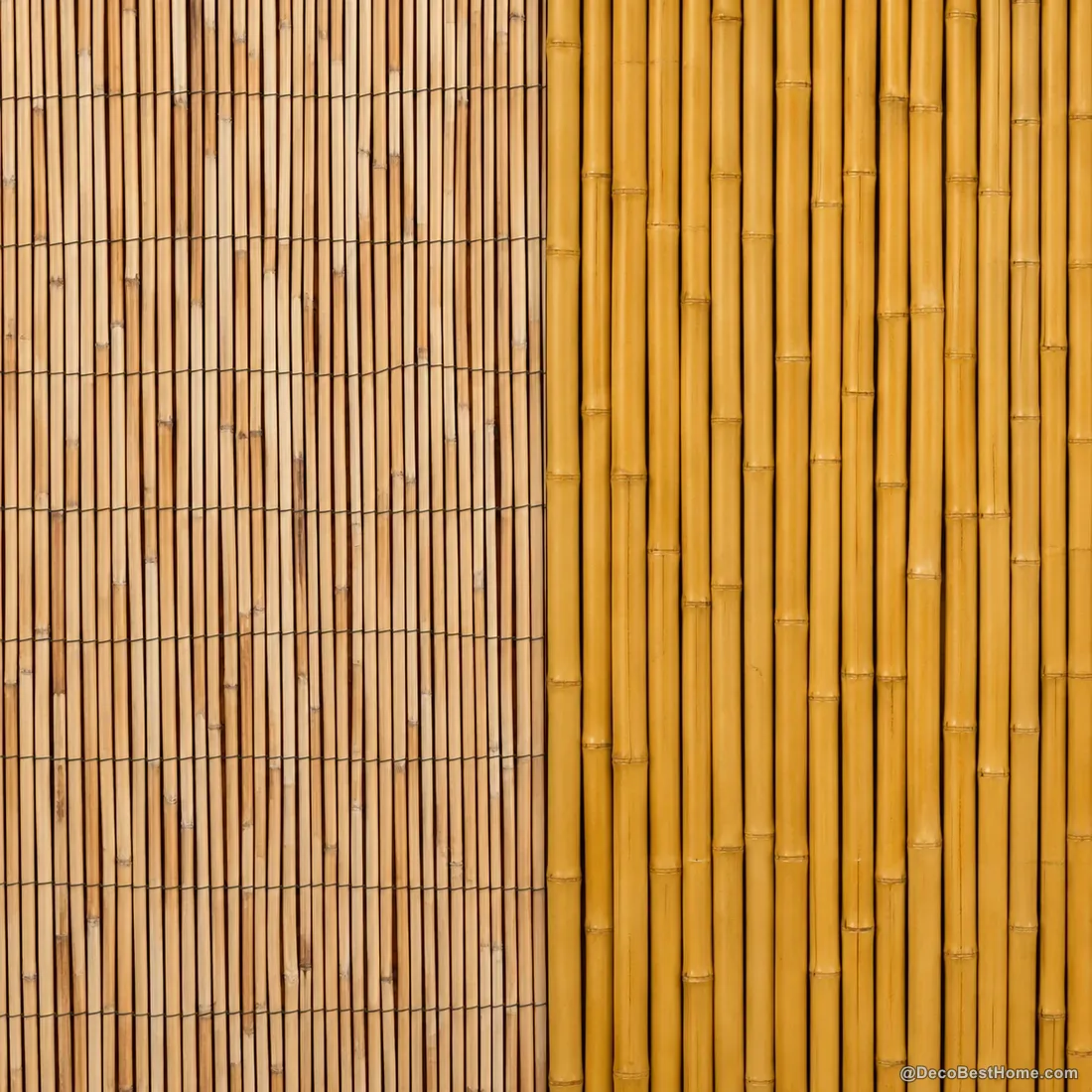 Reed vs Bamboo Screening: Which Natural Screen Is Right for You?