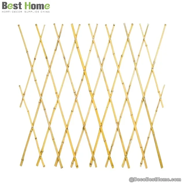 Expandable natural trellis