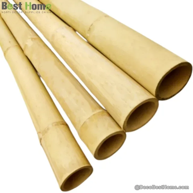 Giant Moso poles