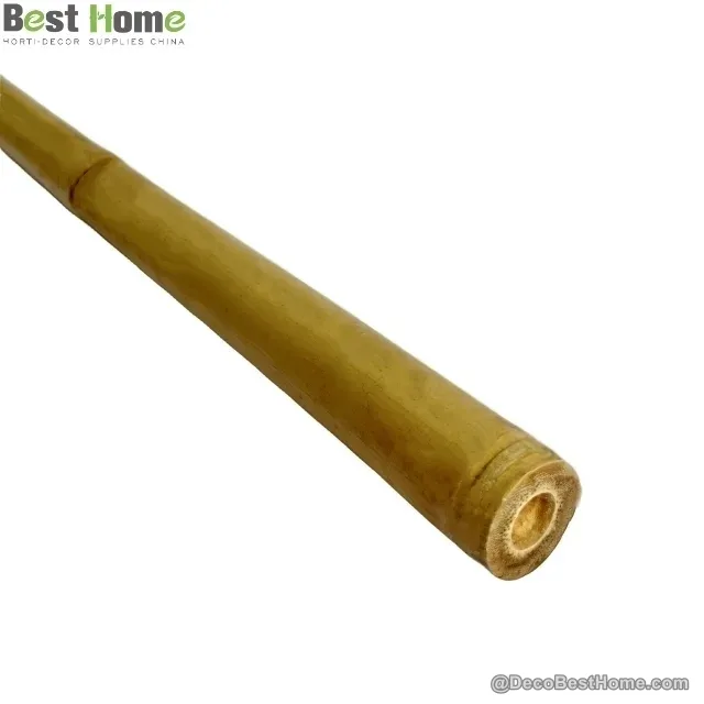 First cut Tonkin bamboo poles
