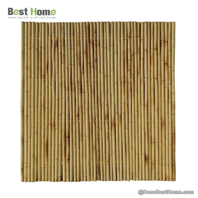 Fixed natural panel