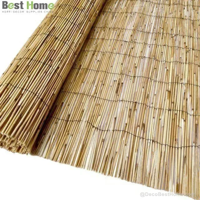 Budget peeled reed fence 3–6 mm