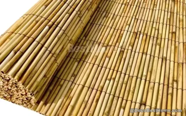أفضل سياج قصب يمكنك شراؤه: قصب مقشّر فائق السماكة 8–10 مم