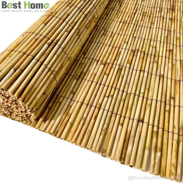 Extra-thick peeled reed fence 8–10 mm