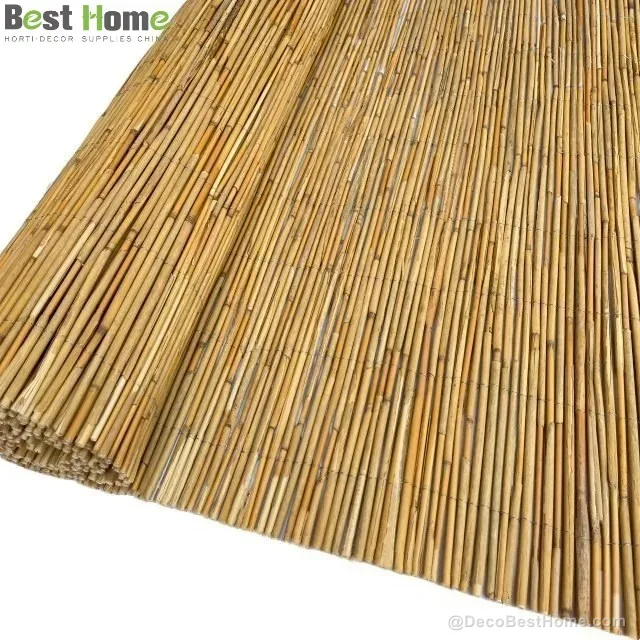 Thick unpeeled reed fence 5–8 mm
